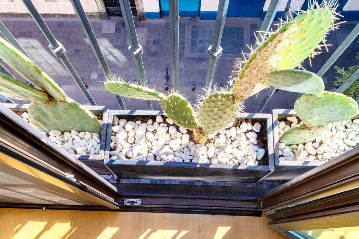 Loft Boho en el Centro Histórico. Imperdible! Cidade do México Exterior foto
